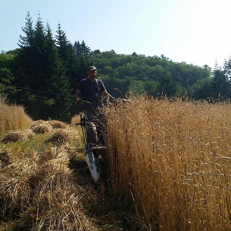 Azienda Agrituristica Risveglio Naturale Varese Ligure Dış mekan fotoğraf