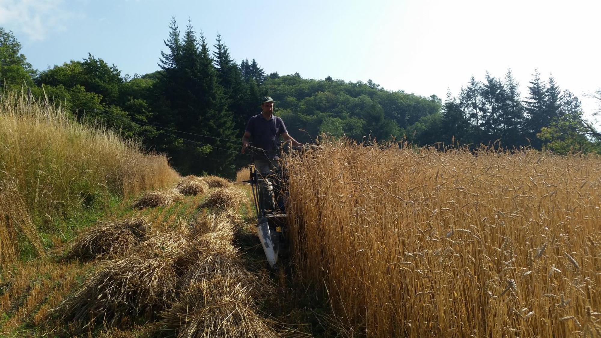 Azienda Agrituristica Risveglio Naturale Varese Ligure Dış mekan fotoğraf
