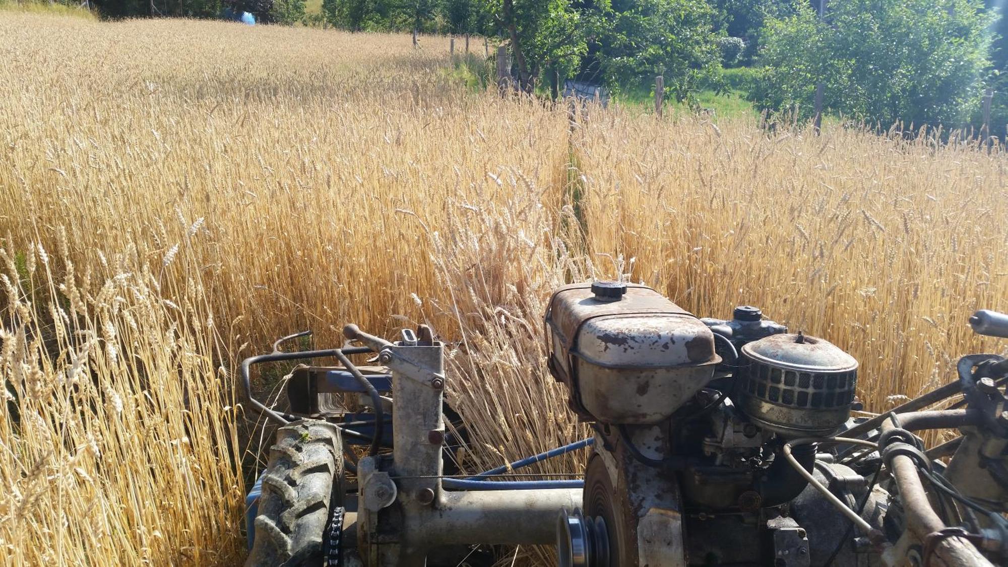 Azienda Agrituristica Risveglio Naturale Varese Ligure Dış mekan fotoğraf